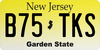 NJ license plate B75TKS