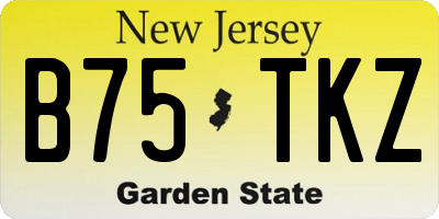 NJ license plate B75TKZ