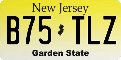 NJ license plate B75TLZ