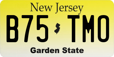 NJ license plate B75TMO
