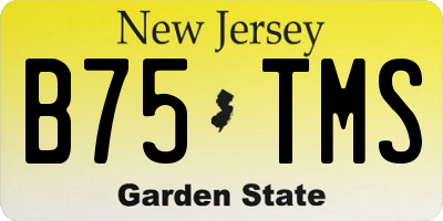 NJ license plate B75TMS