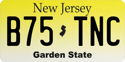 NJ license plate B75TNC