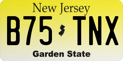 NJ license plate B75TNX