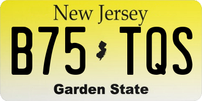 NJ license plate B75TQS