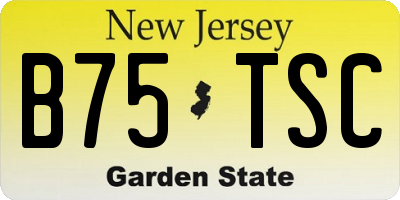 NJ license plate B75TSC