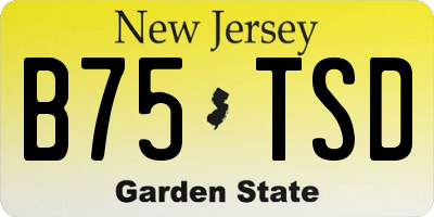 NJ license plate B75TSD