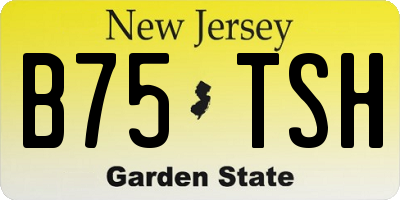 NJ license plate B75TSH