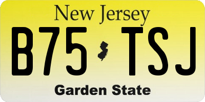 NJ license plate B75TSJ