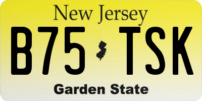 NJ license plate B75TSK