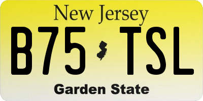 NJ license plate B75TSL