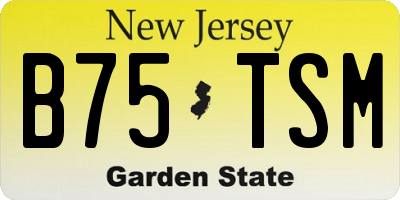 NJ license plate B75TSM