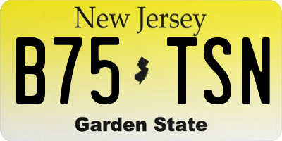 NJ license plate B75TSN