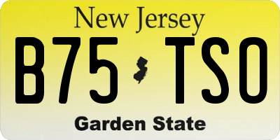 NJ license plate B75TSO
