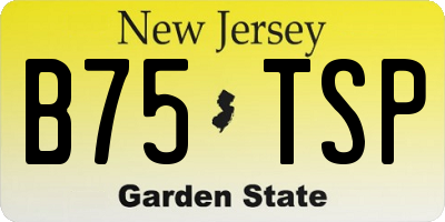 NJ license plate B75TSP