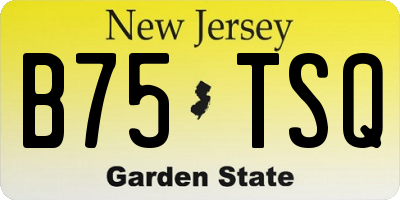 NJ license plate B75TSQ