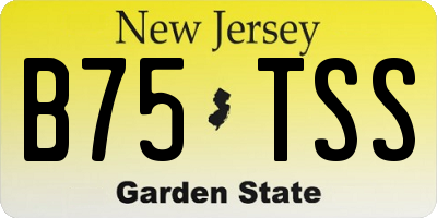 NJ license plate B75TSS