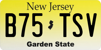 NJ license plate B75TSV