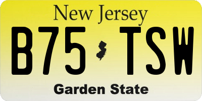 NJ license plate B75TSW