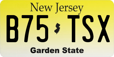 NJ license plate B75TSX