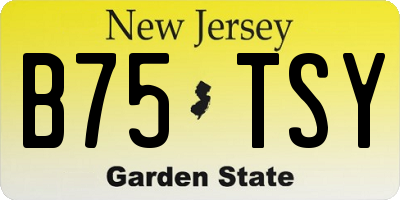 NJ license plate B75TSY