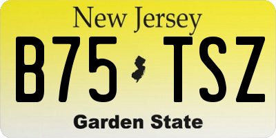 NJ license plate B75TSZ