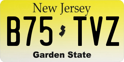NJ license plate B75TVZ