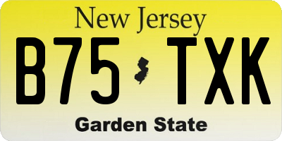 NJ license plate B75TXK