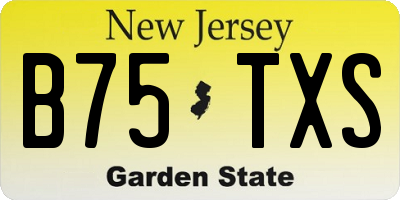NJ license plate B75TXS