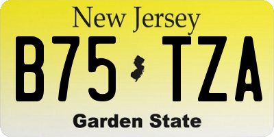 NJ license plate B75TZA