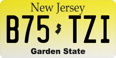 NJ license plate B75TZI