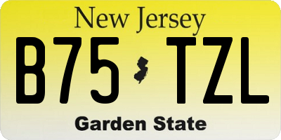 NJ license plate B75TZL