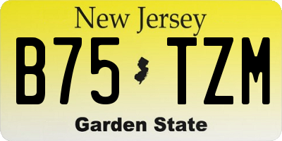 NJ license plate B75TZM