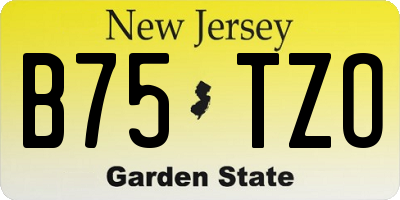 NJ license plate B75TZO