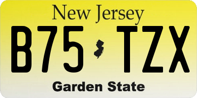 NJ license plate B75TZX