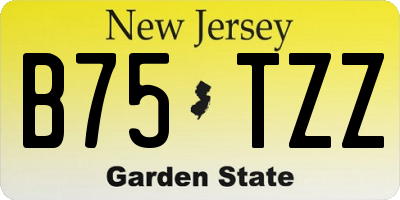 NJ license plate B75TZZ