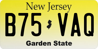 NJ license plate B75VAQ