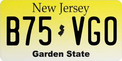 NJ license plate B75VGO