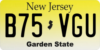 NJ license plate B75VGU