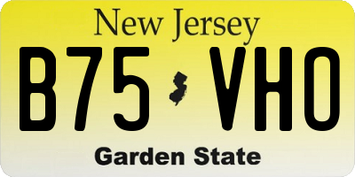 NJ license plate B75VHO