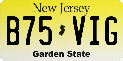 NJ license plate B75VIG