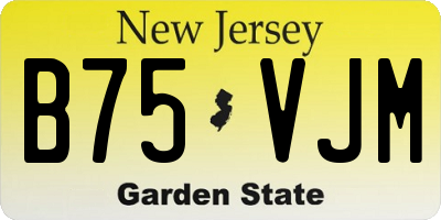 NJ license plate B75VJM