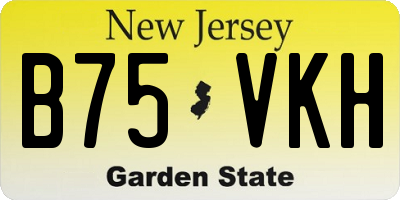 NJ license plate B75VKH