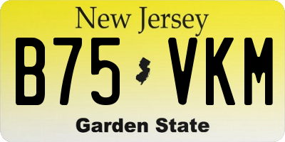 NJ license plate B75VKM