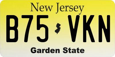 NJ license plate B75VKN