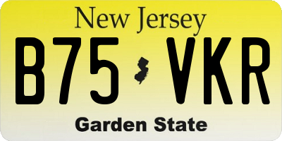 NJ license plate B75VKR
