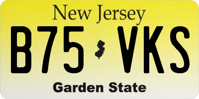 NJ license plate B75VKS