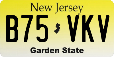 NJ license plate B75VKV