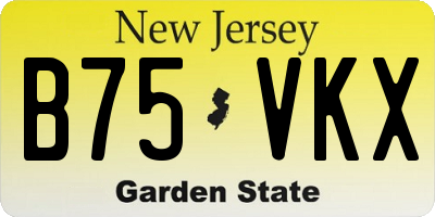 NJ license plate B75VKX