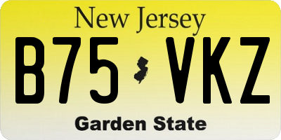 NJ license plate B75VKZ