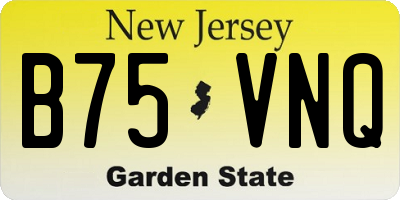 NJ license plate B75VNQ